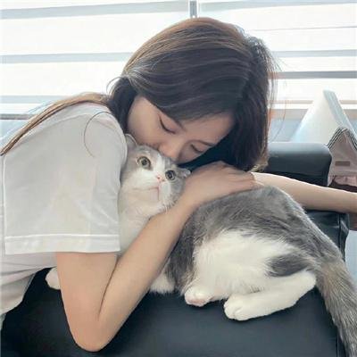 摩登女婿