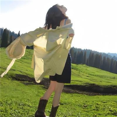 铁甲奇侠